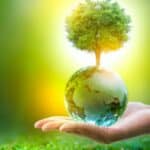 Svetski Ekonomski Forum tvrdi da će klimatske promene do 2050 ubiti skoro 15 miliona ljudi