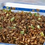 Italija odobrila brašno od insekata za ljudsku upotrebu