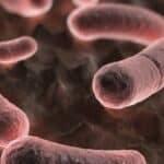 Zdravstveni zvaničnici potvrdili slučaj bubonske kuge u Sjedinjenim Državama