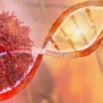 SZO: Novi slučajevi raka će porasti za 77% do 2050