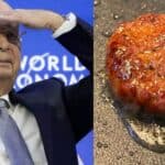 Naučnici povezani sa Svetskim ekonomskim forumom prave lažno „meso“ od gljivica