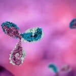 Oni koji su 'vakcinisani i busterovani' mogu imati 'imuni otisak' koji ignoriše nove vakcine