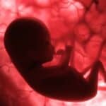 Poljaci protestuju na ulicama! Vlada koju je okupio Soroš želi da potpuno legalizuje abortus