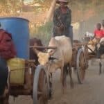 Klimatska politika zapadnih nacija sprečava modernizaciju i prosperitet u Africi