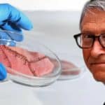 Bil Gejts izneo plan za borbu protiv „klimatskih promena“: Treba eliminisati krave