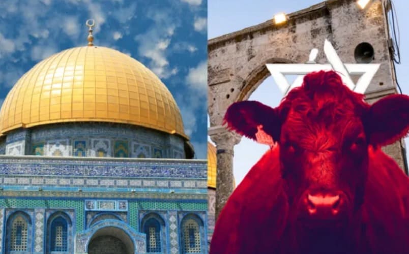  Izrael gradi oltar za žrtvovanje crvene junice da bi se ispunilo biblijsko proročanstvo o kraju vremena