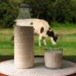 U trenutku kada SZO i UN pozivaju na prekid javne potrošnje mesa i mlečnih proizvoda pronađen „ptičji grip“ u kravljem mleku