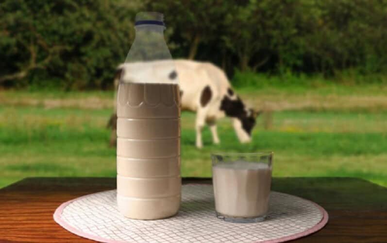  U trenutku kada SZO i UN pozivaju na prekid javne potrošnje mesa i mlečnih proizvoda pronađen „ptičji grip“ u kravljem mleku