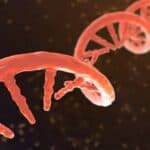 Modifikovana RNK u vakcinama protiv COVID-a može doprineti razvoju raka