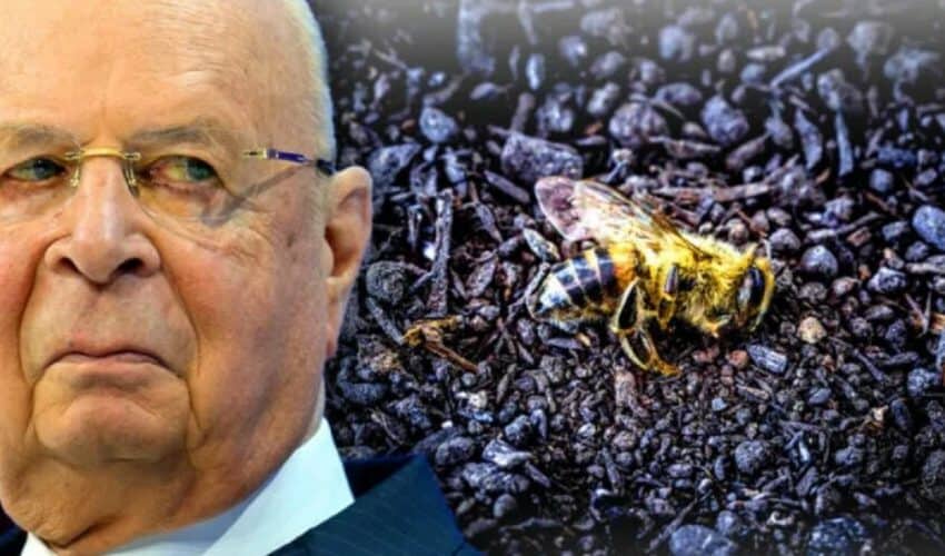  SVETSKI EKONOMSKI FORUM naredio poslušničkim vladama da počnu sa uništavanjem pčela: PLANIRAJU DA IZAZOVU SVETSKU GLAD