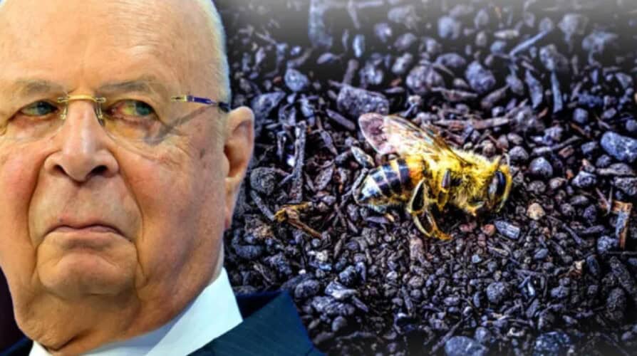 SVETSKI EKONOMSKI FORUM naredio poslušničkim vladama da počnu sa uništavanjem pčela: PLANIRAJU DA IZAZOVU SVETSKU GLAD