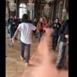 Uhapšeni klimatski aktivisti zbog vandalizacije francuske Versajske palate