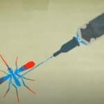 Kompanija Oxitec i Fondacija Bila i Melinde Gejts pustila GMO komarce u Džibuti za borbu protiv malarije