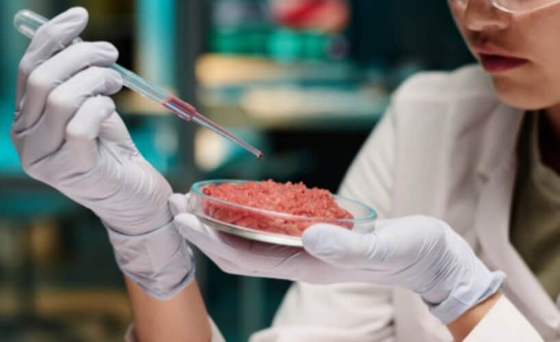  Alabama zabranila meso iz laboratorije! Posle Floride javljaju se države koje ne žele veštačko meso na stolu