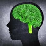 Studija: Izbor hrane ima 'dubok' uticaj na zdravlje mozga