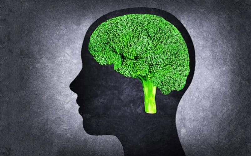  Studija: Izbor hrane ima ‘dubok’ uticaj na zdravlje mozga