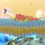 Smrtonosna prionska bolest sada se prenosi zbog mRNA vakcina, upozoravaju naučnici