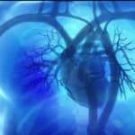 SZO: Kardiovaskularne bolesti ubijaju 10.000 Evropljana dnevno