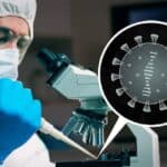 Naučnici potvrđuju da vakcine protiv COVID-a uzrokuju autizam kod laboratorijskih pacova