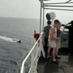 Ovi ne j*bu živu silu! Huti izveli prvi napad dron-čamcem na Grčki teretnjak - SVE ZABELEŽENO KAMEROM (VIDEO)