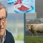 Bil Gejts razvija „klimatsku vakcinu“ da bi vakcinisao milione krava