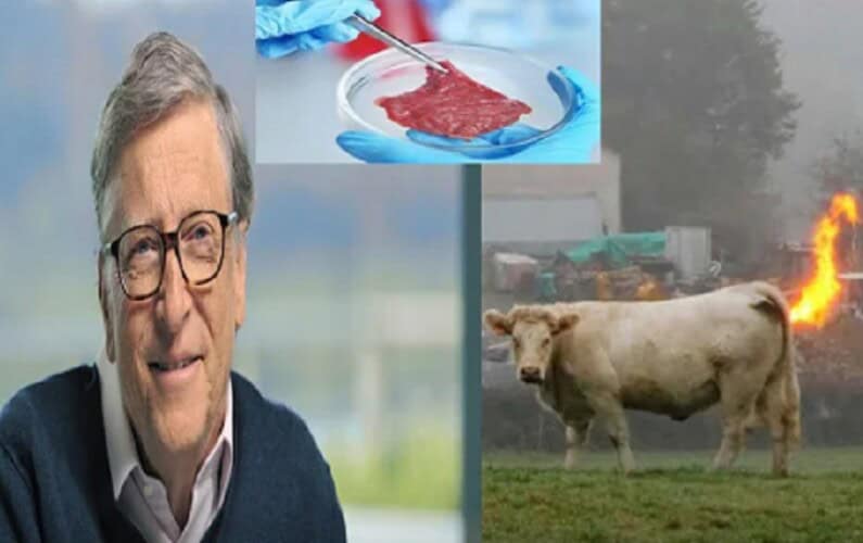 Bil Gejts razvija „klimatsku vakcinu“ da bi vakcinisao milione krava