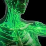 Može li biotehnologija kontrolisati ljudsko ponašanje?