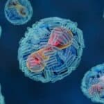 SZO: Novi soj majmunskih boginja izaziva pobačaje, ima 10% smrtnosti i širi se bez seksualnog kontakta