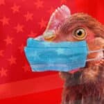 Rusija izdala hitno upozorenje: Sjedinjene Države planiraju OPERACIJU POD LAŽNOM ZASTAVOM - Pustiće PTIČJI GRIP kako bi sabotirali izbore