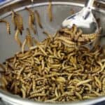 13 zemalja potpisalo ugovor sa Svetskim ekonomskim forumom o „etičkoj globalnoj gladi“