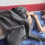 Šef agencije UN: Desetoro dece dnevno izgubi jednu ili obe noge u Gazi