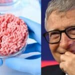 Nova studija otkriva visoku povezanost LABORATORIJSKOG i LAŽNOG MESA sa iznenadnim srčanim udarima