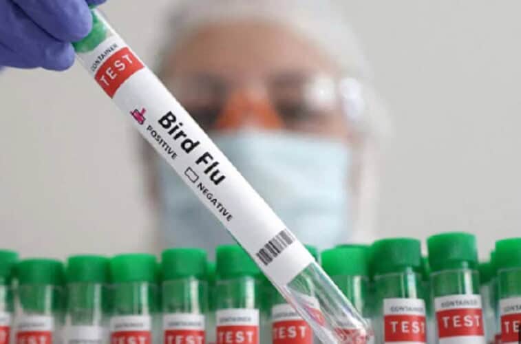  Finska sledeće nedelje počinje vakcinaciju ljudi protiv ptičjeg gripa