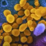 Lekari upozoravaju da „retki i neobični“ karcinomi ubijaju velik broj ljudi