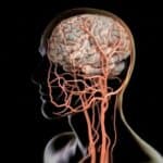 Studija: Covid vakcine izazivaju zgrušavanje krvi u mozgu