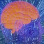 Ljudski mozak uzgojen u laboratoriji se koristi za pokretanje računara