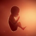 Višestruke studije potvrđuju da vakcine protiv COVID-a izazivaju ozbiljne probleme sa plodnošću kod žena