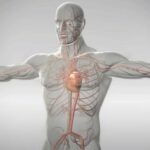 Naučnici povezuju iznenadnu srčanu smrt sa mRNA injekcijama