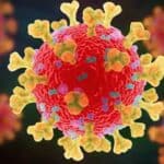 Rak je rutinski izazivan vakcinama od 1960. godine