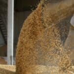 Norveška počinje da stvara masovna skladišta žita: "Spremamo se za nezamislivo"