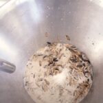 Bil Gejts naredio da se zameni kravlje mleko 'kremastim mlekom od crva'