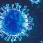 Svetski ekonomski forum zvanično proglasio ptičji grip „međunarodnom pandemijom“