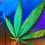 Lekari u Australiji kažu da medicinski kanabis dovodi do povećanja psihoze kod pacijenata