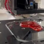 Velika Britanija će ove godine početi da hrani kućne ljubimce mesom uzgojenim u laboratoriji