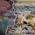 Studija: Mikroplastika u mozgu se povećala za 50% u poslednjih osam godina