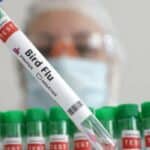 Da li se scenario ponavlja? Globalni sastanak elite na Međunarodnom samitu o ptičijem gripu za planiranje „upravljanja masovnim smrtnim ishodom“