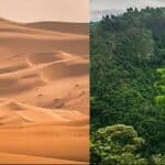 Klimatske promene stvaraju toliko globalnog ozelenjavanja da čak i fanatici to primećuju dok paniče zbog smanjenja pustinja