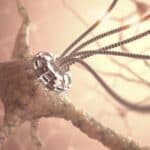 Studija: Nanočestice kojima se manipuliše magnetnim poljima mogu da promene moždanu aktivnost i ponašanje