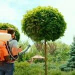 Studija: Upotreba pesticida povećava stopu raka kod ljudi