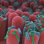 Vrhunski gastroenterolog: Vakcinisanima protiv Kovida nedostaju ključne crevne bakterije neophodne za imuni sistem